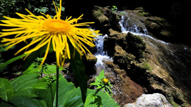 <p style="text-align: justify;">Crédit photo: AA</p>