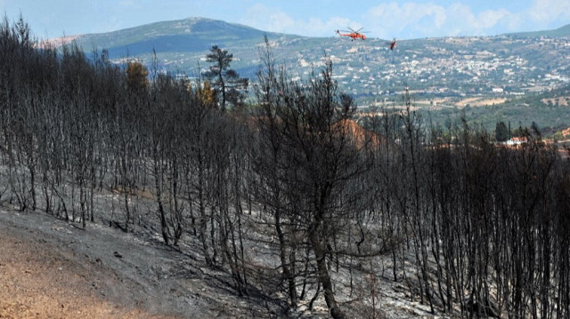 Crédit photo: LOUISA GOULIAMAKI / AFP 