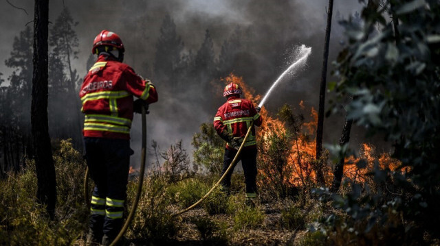 Des pompiers en train de lutter contre un incendie à Carrascal, Proença-a-Nova, le 6 août 2023. Crédit photo: PATRICIA DE MELO MOREIRA / AFP
