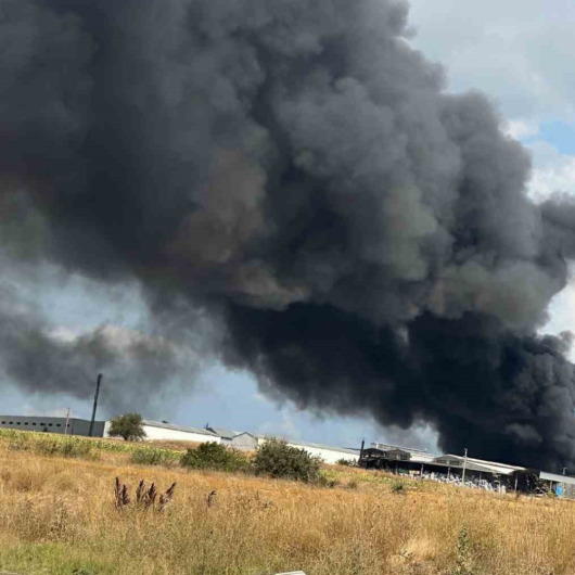 Tekirdağ'da kimya fabrikasında yangın çıktı: Can kaybı ve yaralı yok