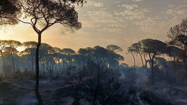 Crédit photo: Service régional espagnol dédié aux incendies forestiers