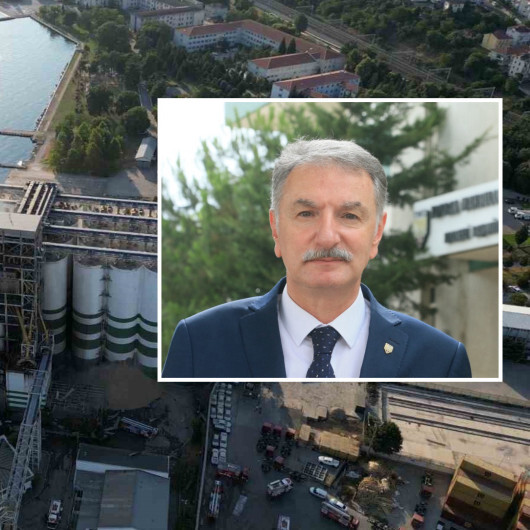TMO Genel Müdürü Güldal'dan Derince'deki patlamaya ilişkin açıklama: Buğday eksikliği olmayacak
