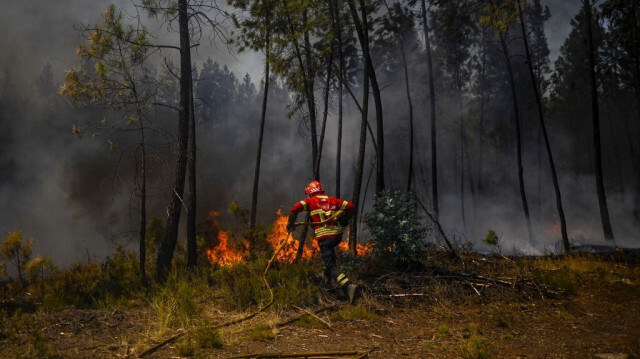 Les pompiers combattent un incendie de forêt au Portugal Crédit photo: PATRICIA DE MELO MOREIRA / AFP