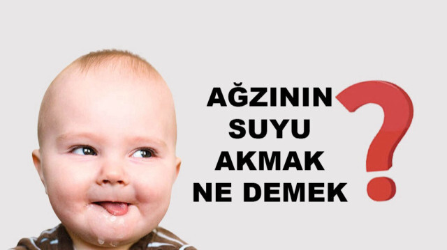 Ağzının suyu akmak ne demek, anlamı, cümle içinde kullanımı