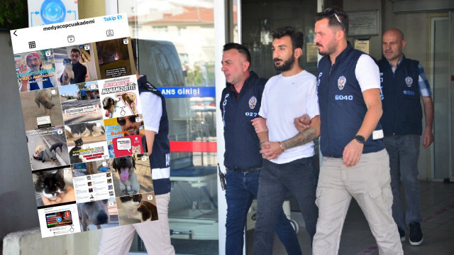 Sözde hayvan koruyucusu 'Paw Guards' isimli oluşumun yeni bir isimle faaliyet gösterme başladığı ortaya çıktı.