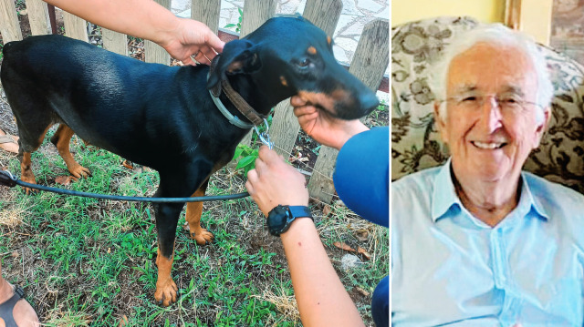 Balıkesir Gönen’e gelip, kaybolan Korhan Berzeg’in (83) arama çalışmalarına, 
74 gün sonra evine dönen köpeği ‘Tina’ da katılıyor.