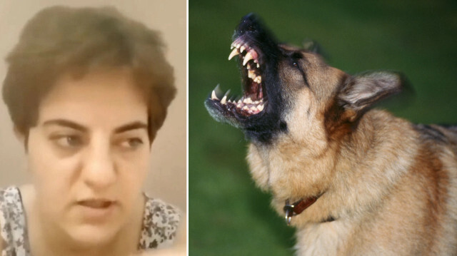 Başıboş köpekleri savunup çocukları tehdit eden 'Tyche Kairos' lakaplı sosyal medya kullanıcısı gözaltına alındı.