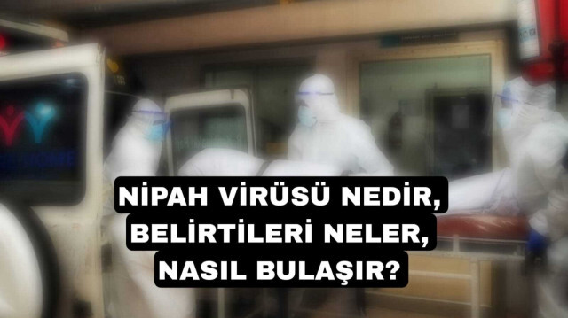 Nipah virüsü nedir, belirtileri neler, nasıl bulaşır?