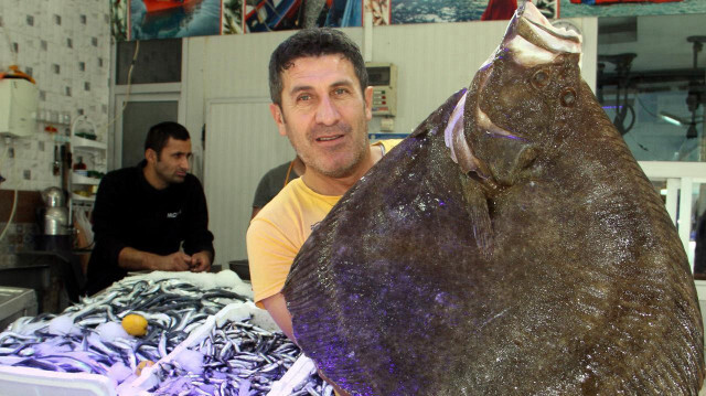 Balığın kilosu 800 liradan satışa sunulacak.