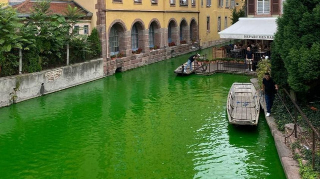 Des militants écologistes ont déversé ce week-end un colorant vert, inoffensif selon eux, dans le Launch à Colmar. Crédit photo : X