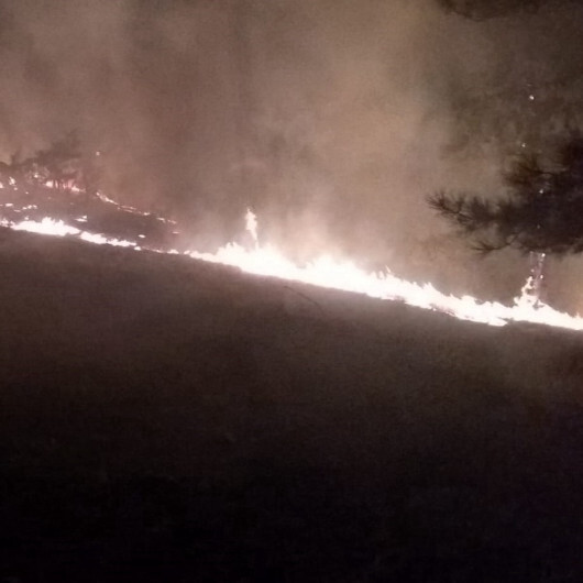 Köyceğiz'de orman yangını: Havadan ve karadan müdahaleyle söndürüldü