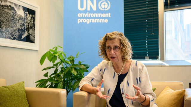 La sous-secrétaire générale des Nations unies et directrice exécutive du Programme des Nations unies pour l'environnement, Inger Andersen. Crédit photo: ED JONES / AFP