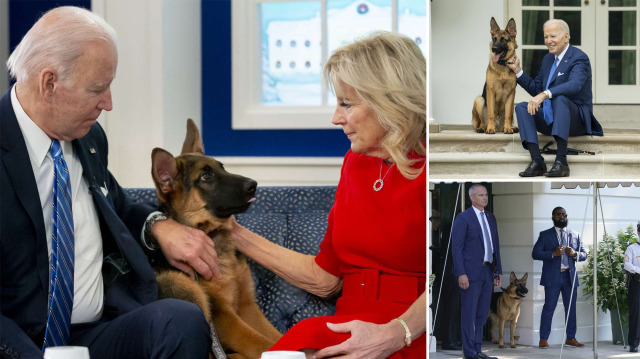 ABD Başkanı Biden ve köpeği Commander.