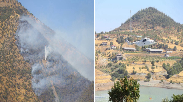 Kahramanmaraş'ta orman yangını