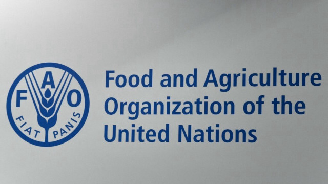 L'Organisation des Nations unies pour l'alimentation et l'agriculture (FAO). Crédit photo: VINCENZO PINTO / AFP / ARCHIVE