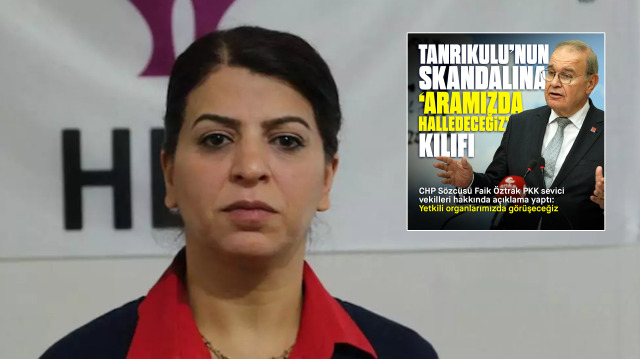 HDP'li Sibel Yiğitalp, TSK'ya iftira atan Sezgin Tanrıkulu'na destek verdi.