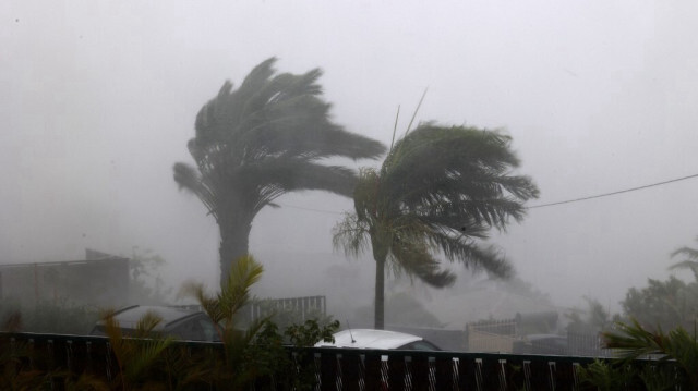 Les arbres ont été soumis à des vents très violents lors du passage du cyclone Belal, à La Possession, sur l'île française de La Réunion, le 15 janvier 2024. 