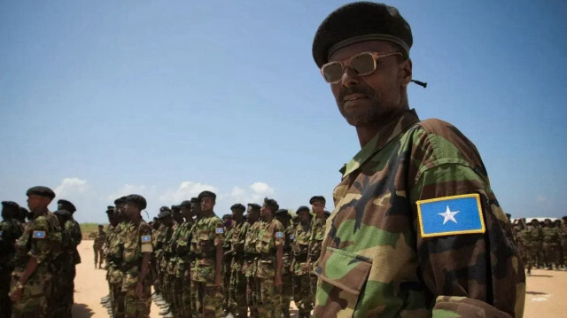 Сомали отозвал посла в Эфиопии