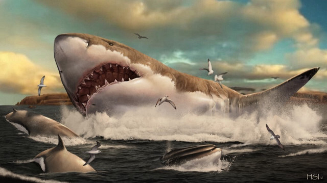  Le megalodon est connu comme l'une des créatures les plus redoutables que le monde ait jamais connues, un requin horriblement géant immortalisé dans les films.