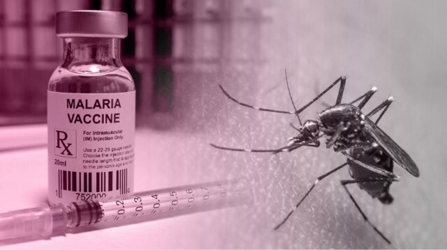 Photo illustrant le vaccin contre le Paludisme (Malaria).