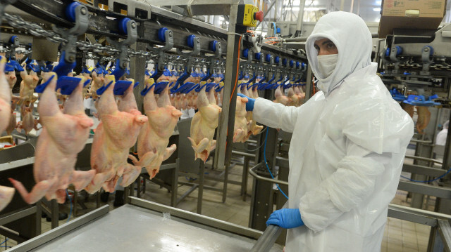 Beyaz et sektöründe faaliyet gösteren 10 teşebbüs hakkında rekabet soruşturması açıldı.