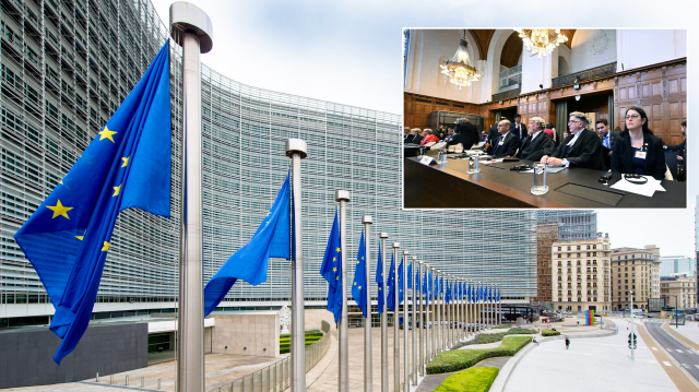 Avrupa Birliği, UAD'ın tedbir kararının derhal uygulanmasını istedi.