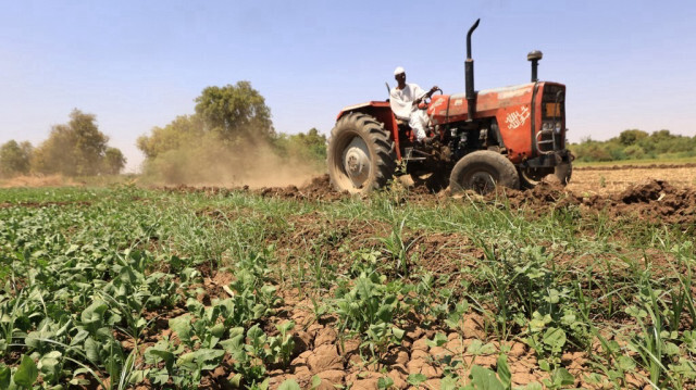 Un agriculteur laboure un champ sur son tracteur à Shendi, situé sur les rives du Nil à 190 kilomètres (120 miles) de Khartoum, au Soudan, le 5 octobre 2023.