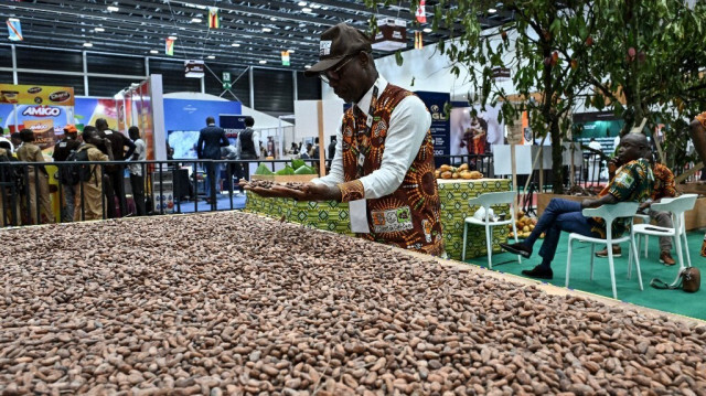 Un homme vérifie les fèves de cacao sur un stand d'exposition lors de la Journée nationale du cacao et du chocolat au parc des expositions d'Abidjan, le 30 septembre 2024.