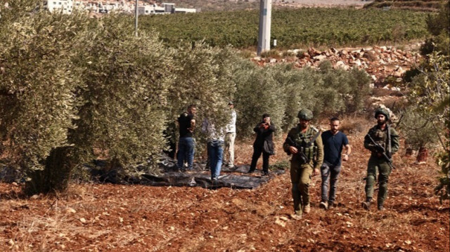 Des colons israéliens ont attaqué et blessé un enfant palestinien en Palestine occupée, mettant le feu à des oliviers.