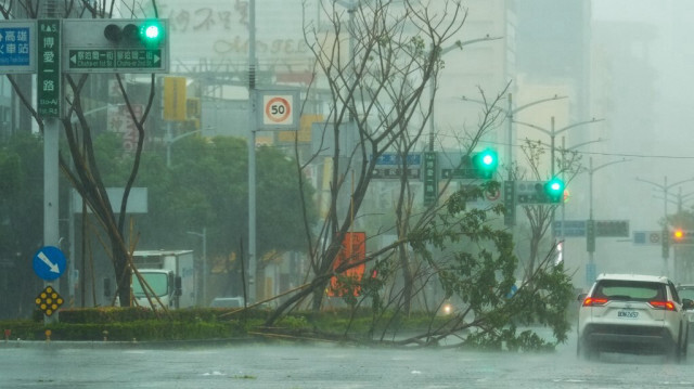 Une voiture passe devant un arbre tombé alors que le typhon Krathon s'approche de Kaohsiung, le 3 octobre 2024.