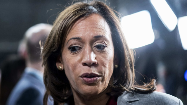 Demokratların ABD Başkan adayı Kamala Harris, 2024