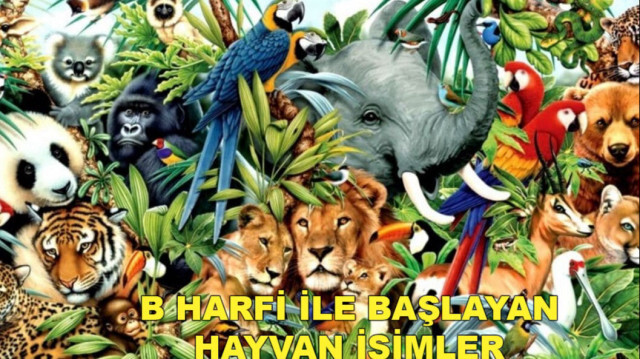 B harfi ile başlayan hayvan isimleri