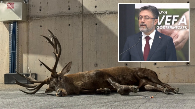  Tarım ve Orman Bakanı İbrahim Yumaklı, geyiğin durumunu bildirdi.