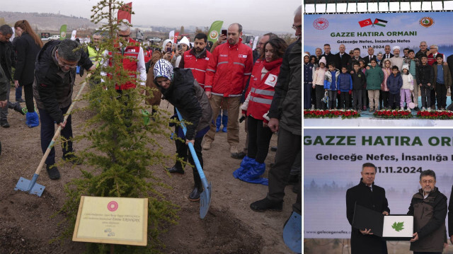 Ankara'da fidanlar Gazze için toprakla buluştu.