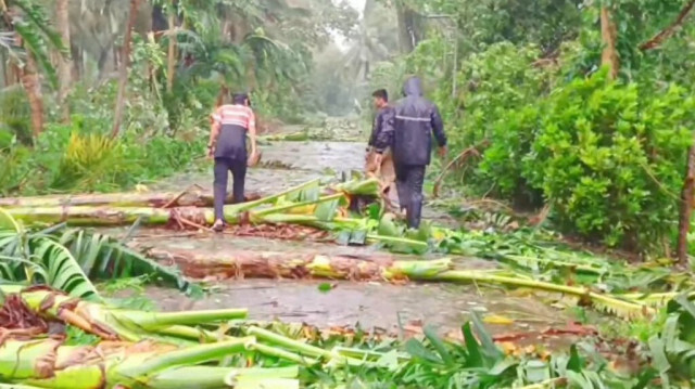 Des fonctionnaires marchant au milieu de bananiers tombés sur une route à Dinalungan, dans la province d'Aurora, après le passage du typhon Toraji sur la côte nord-est du pays, 11 novembre 2024.