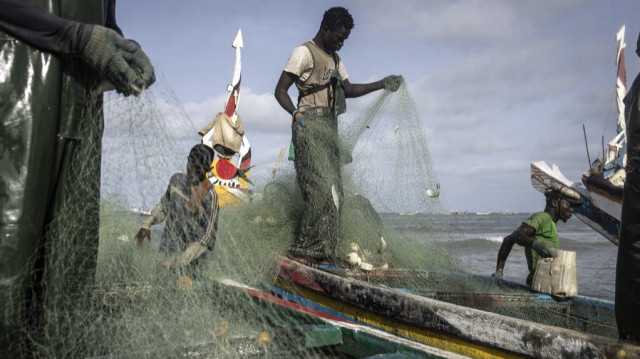 Des pêcheurs déchargent du poisson dans un port de pêche à Cap Skirring.