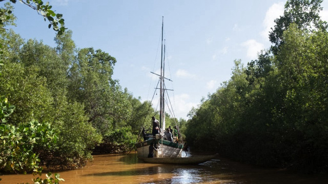 Le fleuve Tsiribihina, dans l'ouest de Madagascar.