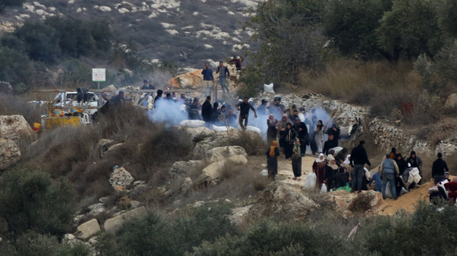 الضفة.. مستوطنون يعتدون على مزارعين فلسطينيين بنابلس ويسرقون زيتونهم