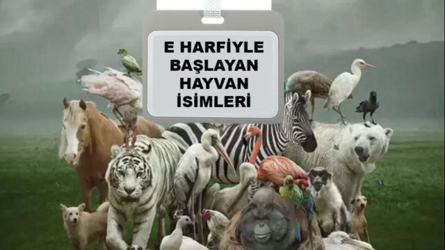 E harfi ile başlayan hayvanlar