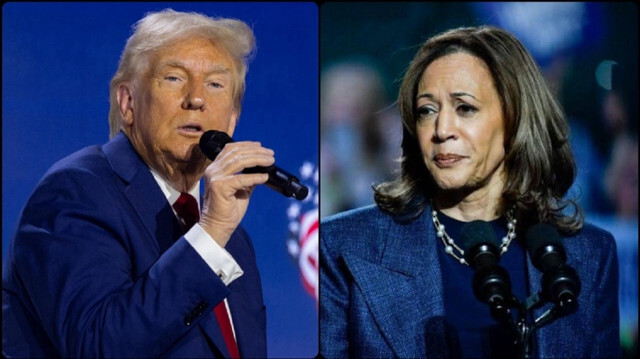 Trump - Harris