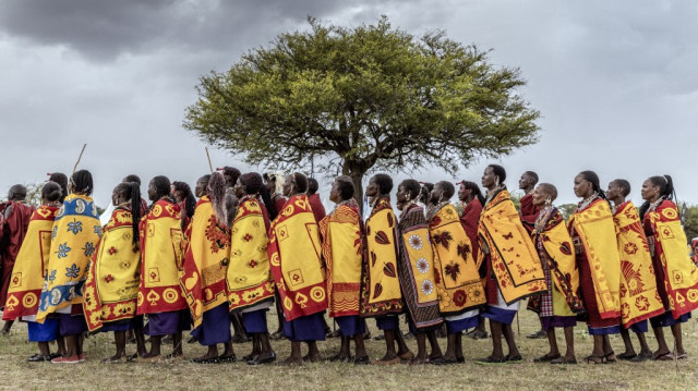 Un groupe de femmes Massaï défile tout en dansant des chansons traditionnelles lors d'un festival culturel Massaï à Sekenani, le 10 juin 2023. 