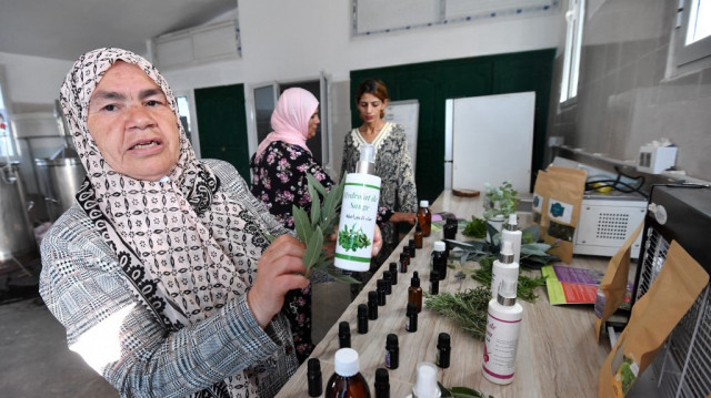 Mabrouka Athimni, qui dirige un collectif local de femmes récoltant des herbes appelé "Al Baraka" ("Bénédiction") montre l'huile extraite des plantes dans un laboratoire dans le village de Tbainia près de la ville d'Ain Drahem, dans le nord-ouest de la Tunisie, le 6 novembre 2024. 