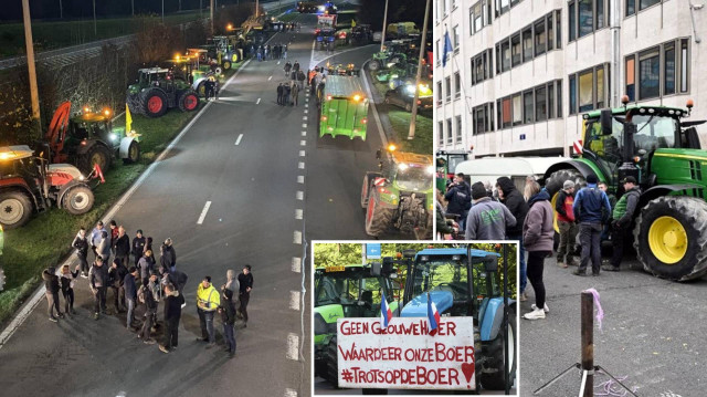 AB yetiştiricileri, bölgeden ucuz et ithalatına "haksız rekabet" gerekçesiyle karşı çıkıyor.