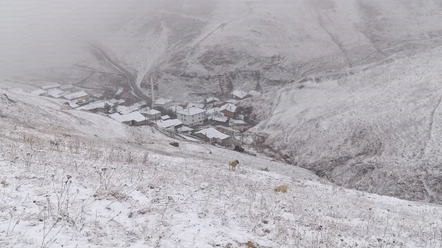 2 bin 350 rakımlı köyde kar kalınlığı 4 metreye ulaştı
