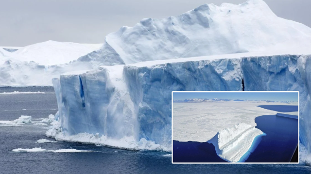 Antarktika'daki deniz buzu kritik seviyede