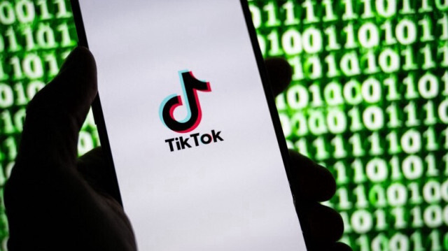 L'enquête a établi que TikTok, très prisé des adolescents, diffuse des contenus nocifs, notamment le défi de la "cicatrice française", préjudiciables aux utilisateurs, surtout les mineurs.