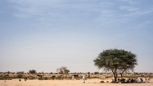 Des agriculteurs trouvent un abri sous un manguier pour éviter la chaleur et le soleil, sur la route entre Adre et Farchana, dans la région du Ouaddaï, au Tchad, le 25 mars 2019. 