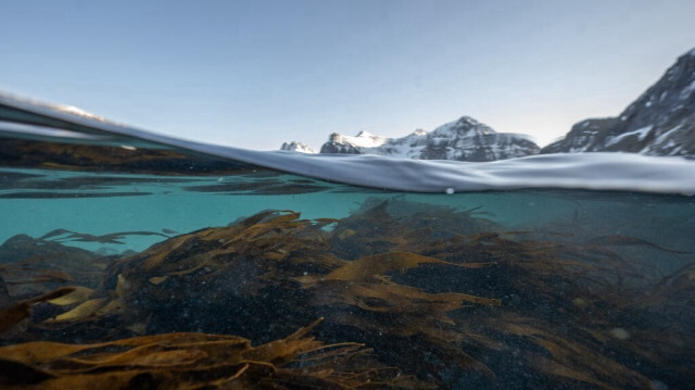 Marée haute dans un fjord entouré par l'océan Atlantique, dans les îles Lofoten, en Norvege.
