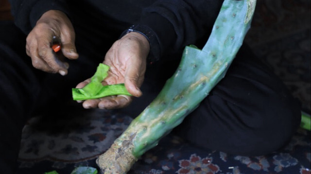 <p style="text-align: justify;">Crédit photo: AA</p>