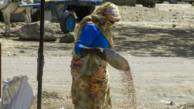 Une femme trie des céréales sur un marché à Gedaref, dans l'est du Soudan, le 22 février 2024. 